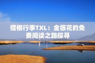借根行事TXL：金银花的免费阅读之路探寻