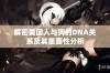 解密美国人与狗的DNA关系及其重要性分析