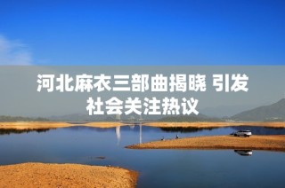 河北麻衣三部曲揭晓 引发社会关注热议