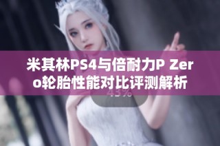 米其林PS4与倍耐力P Zero轮胎性能对比评测解析