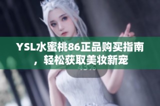 YSL水蜜桃86正品购买指南，轻松获取美妆新宠