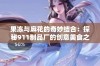 果冻与麻花的奇妙结合：探秘911制品厂的创意美食之旅