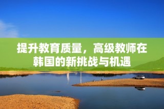 提升教育质量，高级教师在韩国的新挑战与机遇