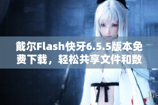 戴尔Flash快牙6.5.5版本免费下载，轻松共享文件和数据