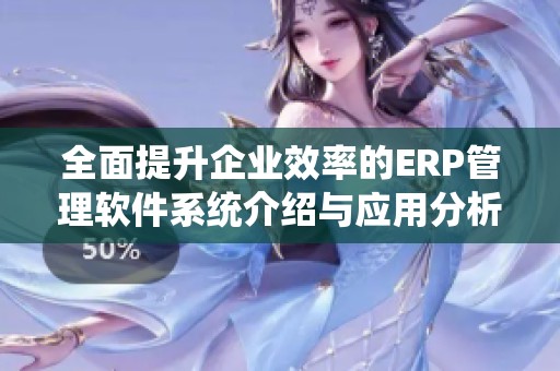 全面提升企业效率的ERP管理软件系统介绍与应用分析