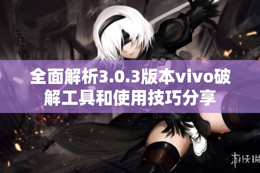 全面解析3.0.3版本vivo破解工具和使用技巧分享