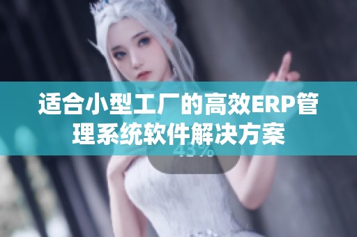 适合小型工厂的高效ERP管理系统软件解决方案