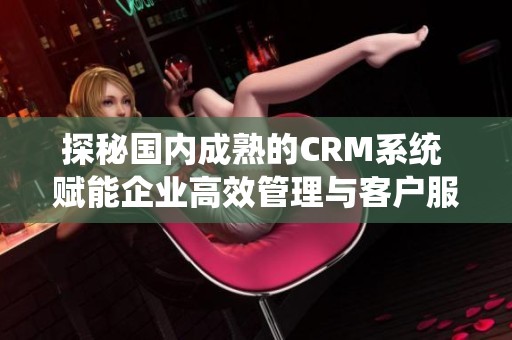 探秘国内成熟的CRM系统 赋能企业高效管理与客户服务