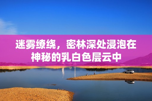 迷雾缭绕，密林深处浸泡在神秘的乳白色层云中