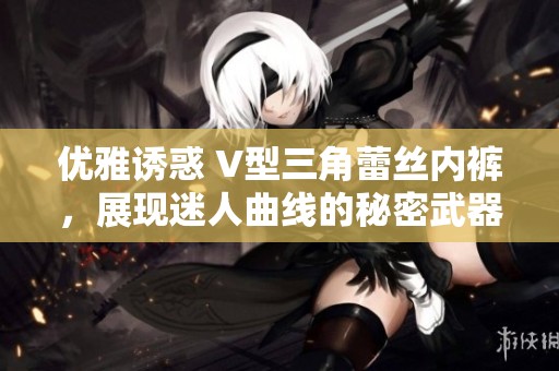 优雅诱惑 V型三角蕾丝内裤，展现迷人曲线的秘密武器