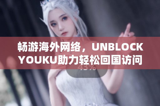 畅游海外网络，UNBLOCKYOUKU助力轻松回国访问各大平台的秘诀