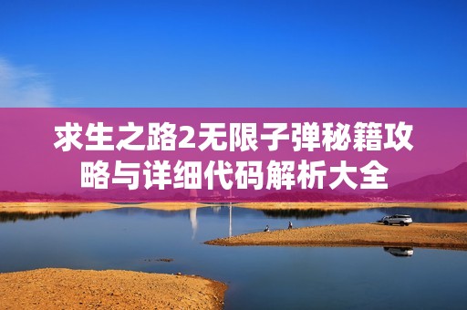 求生之路2无限子弹秘籍攻略与详细代码解析大全