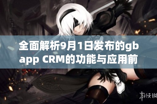 全面解析9月1日发布的gbapp CRM的功能与应用前景