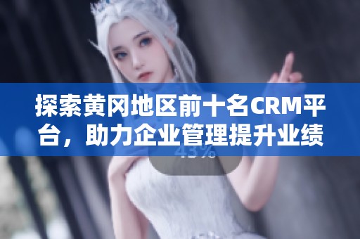 探索黄冈地区前十名CRM平台，助力企业管理提升业绩