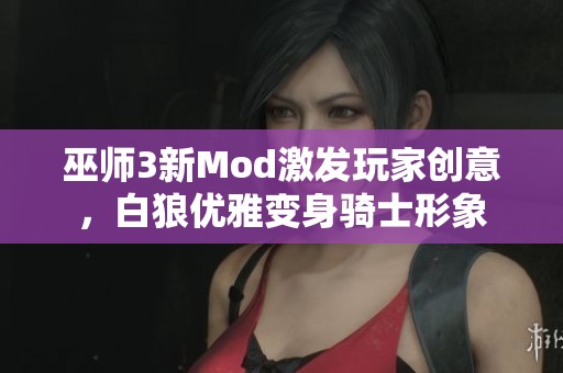 巫师3新Mod激发玩家创意，白狼优雅变身骑士形象